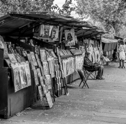 Le bouquiniste de la Seine