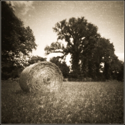 Paysage bucolique et vintage
