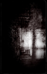 The Sound of Silence ...