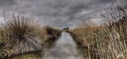 Marais