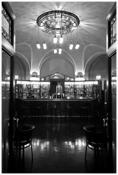 Bar de l'overlook