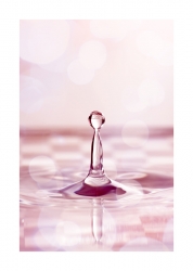Water World
