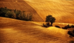 Paysage albigeois