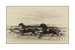 Les trotteurs