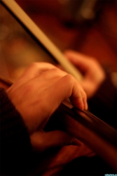 Dans l'intimité d'une violoncelliste