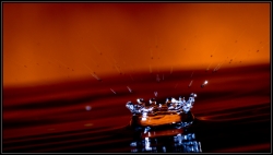SPLASH
