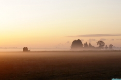 Brume matinale