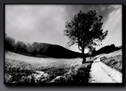 l' orage