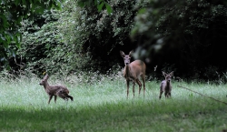 La famille s'est agrandie