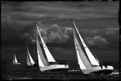 Infinitives voiles