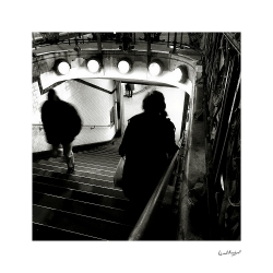 Croisement