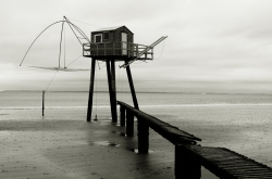 Serie (4) travail sur composition