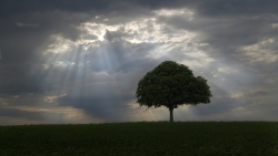 Le seigneur des plaines