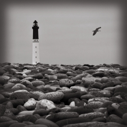 Les galets de l'île de Sein