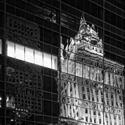NY