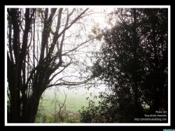 contre-jour