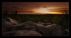 Fontainebleau, souvenir d'un bon matin ...