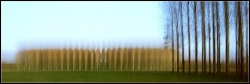 Paysage ligérien