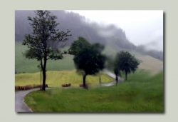 pluie diluvienne