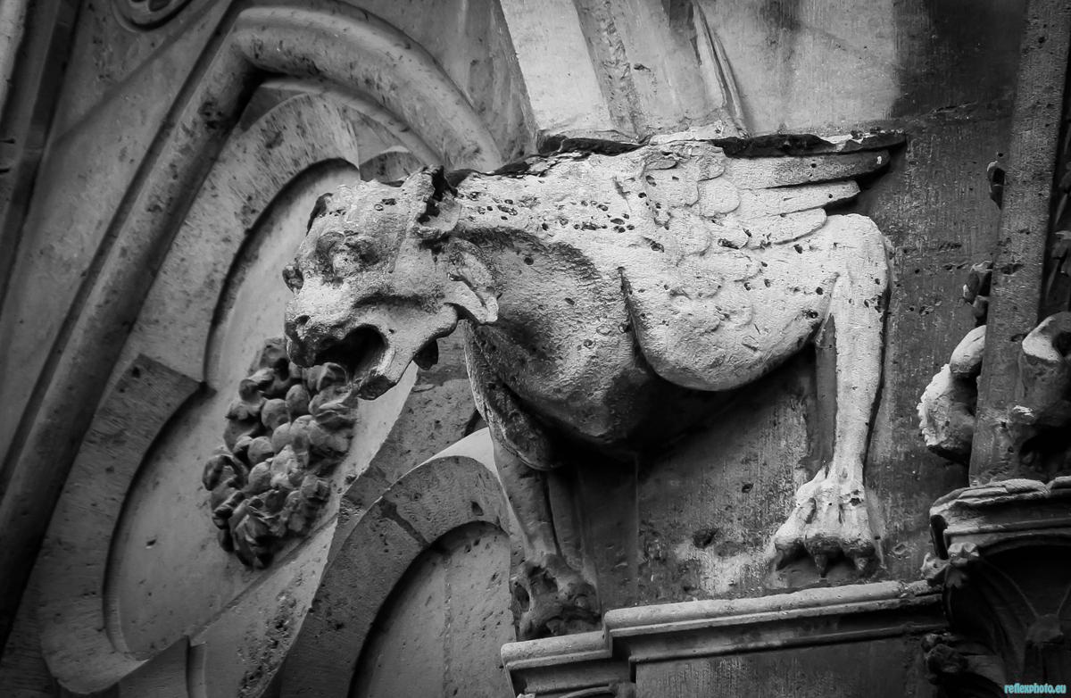 Photo inscription n°3