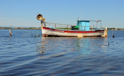 le petit bateau