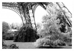 Photo inscription n°3