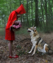 Promenons-nous dans les bois.....