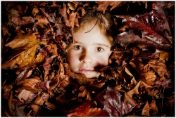 La petite fée de l'automne