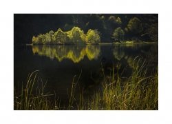 Automne