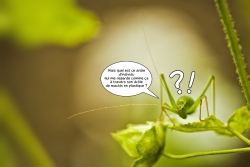 Jack et sa question existentielle !