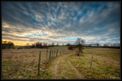 Le chemin
