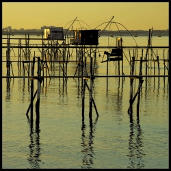 Fin de journée sur l'estuaire
