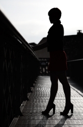 la passerelle (le retour)