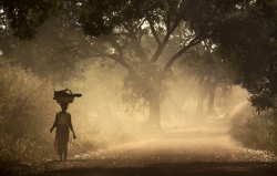 Afrika