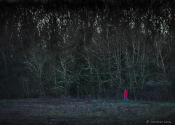 Promenons nous dans les bois...