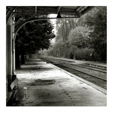 Le train viendra-t-il ?