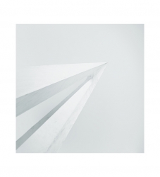 White bird