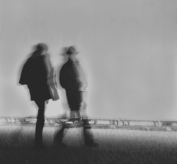 Suis-moi