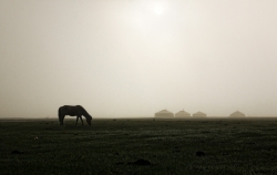 Paisible Mongolie.