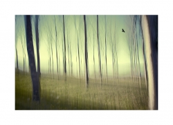 To be in a dream