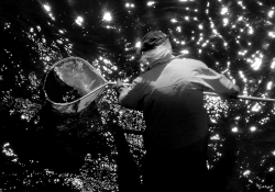 Le pêcheur d'étoiles