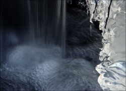 l'age de glace 2