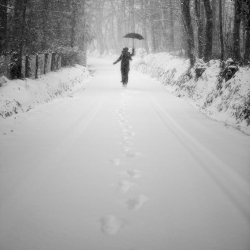 Parapluie et neige