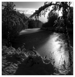 Contre-jour