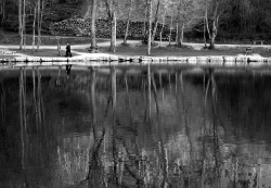 reflets