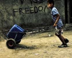 FREEDOM