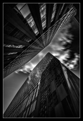 Noirs II