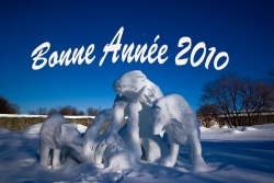 Bonne Année 2010