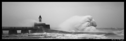 backwash