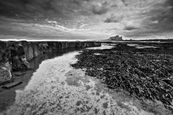 bamburgh castle